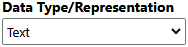 5. Data Type/Representation